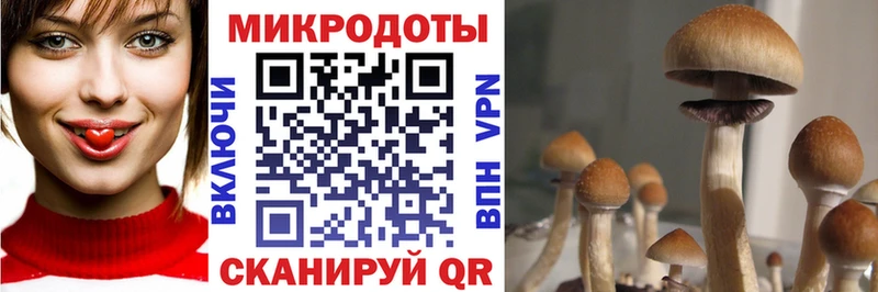 Псилоцибиновые грибы ЛСД Камешково